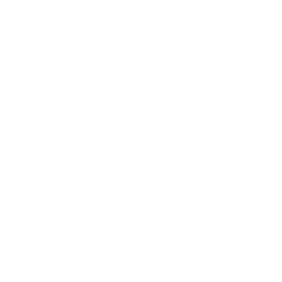 Ícone