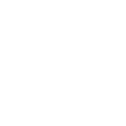 Ícone